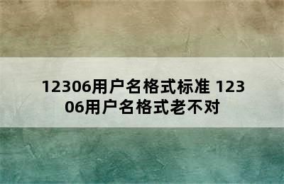 12306用户名格式标准 12306用户名格式老不对